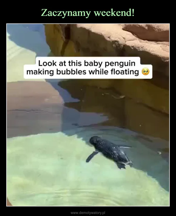 
    Zaczynamy weekend!
