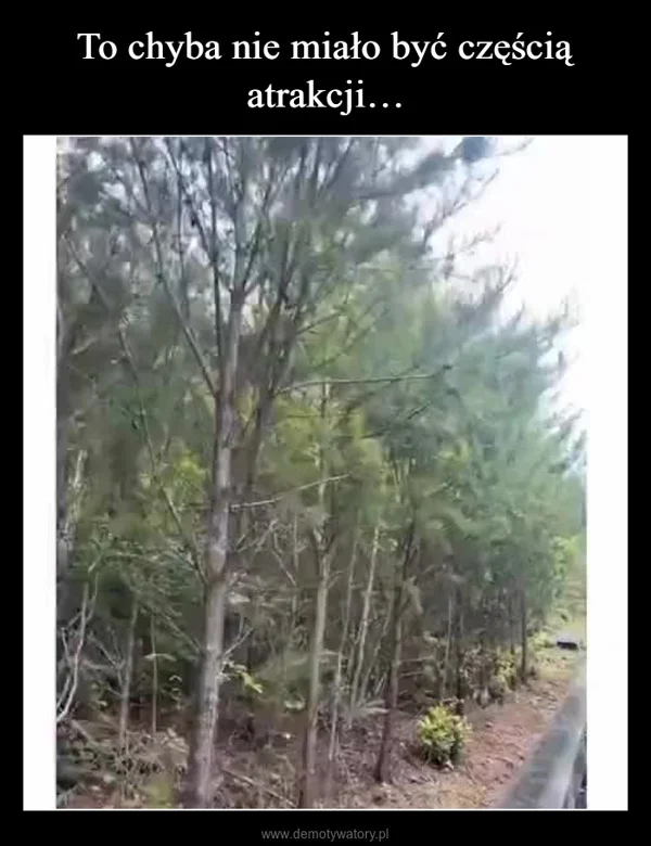 
    To chyba nie miało być częścią atrakcji…