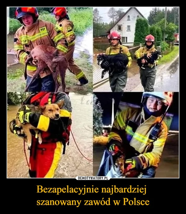 
    Bezapelacyjnie najbardziej szanowany zawód w Polsce