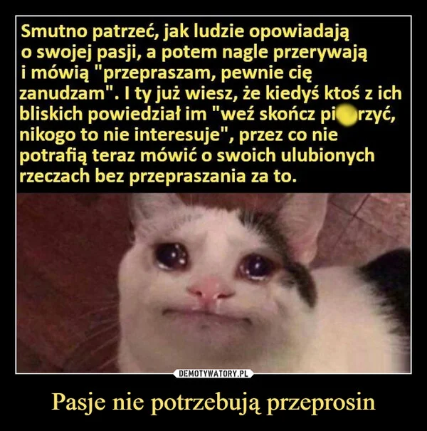 
    Pasje nie potrzebują przeprosin