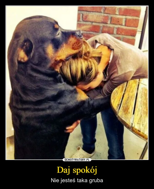 
    Daj spokój