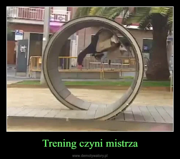 
    Trening czyni mistrza
