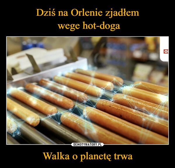 
    Dziś na Orlenie zjadłem
 wege hot-doga Walka o planetę trwa