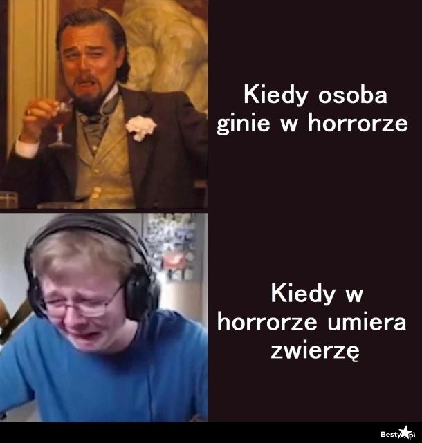 
    Zwierzątek bardziej żal 