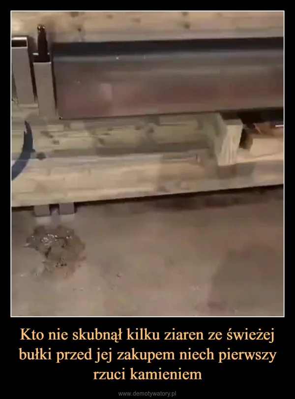 
    Kto nie skubnął kilku ziaren ze świeżej bułki przed jej zakupem niech pierwszy rzuci kamieniem
