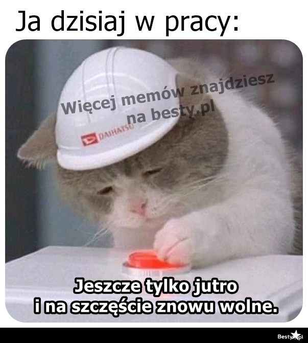 
    Po długim weekendzie 