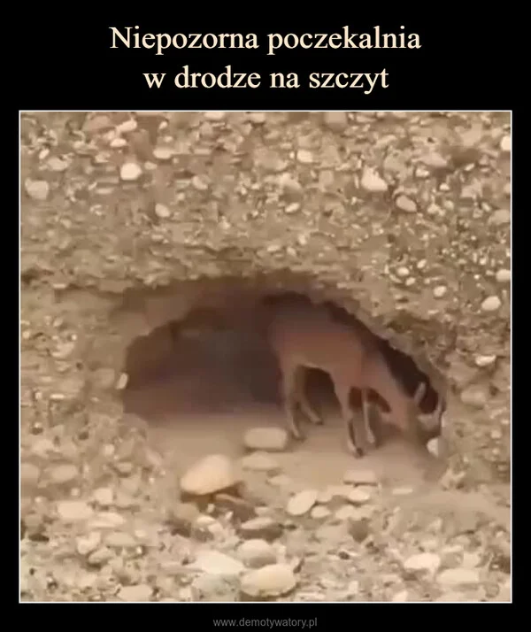
    Niepozorna poczekalnia w drodze na szczyt