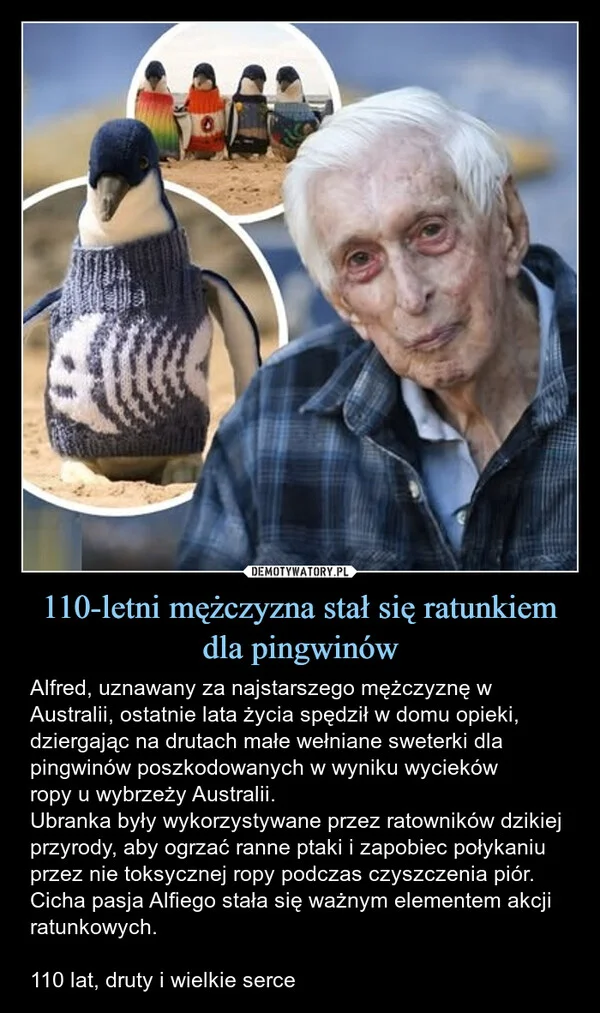 
    110-letni mężczyzna stał się ratunkiem dla pingwinów