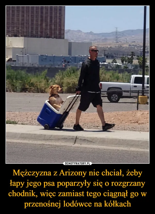 
    Mężczyzna z Arizony nie chciał, żeby łapy jego psa poparzyły się o rozgrzany chodnik, więc zamiast tego ciągnął go w przenośnej lodówce na kółkach