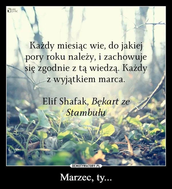 
    Marzec, ty...