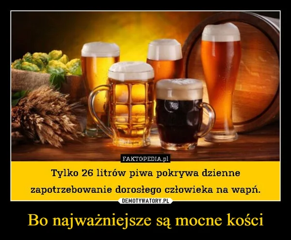 
    Bo najważniejsze są mocne kości