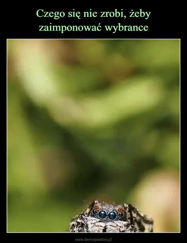 
    Czego się nie zrobi, żeby zaimponować wybrance