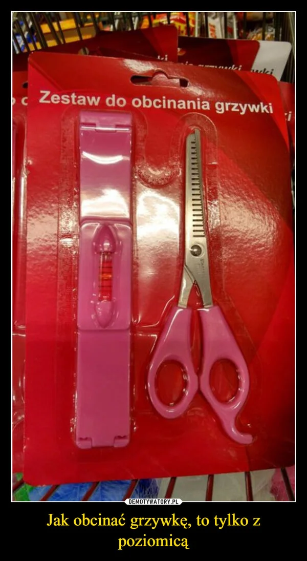 
    Jak obcinać grzywkę, to tylko z poziomicą