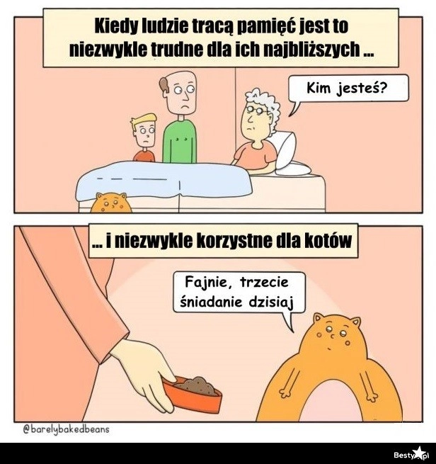 
    Korzyść dla kotów 