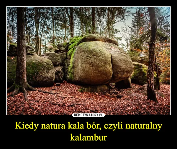 
    Kiedy natura kala bór, czyli naturalny kalambur