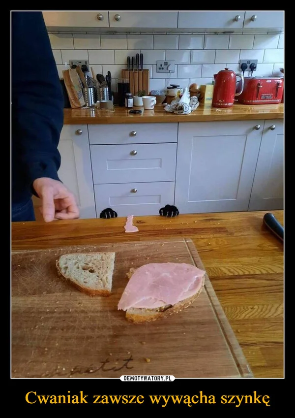 
    Cwaniak zawsze wywącha szynkę