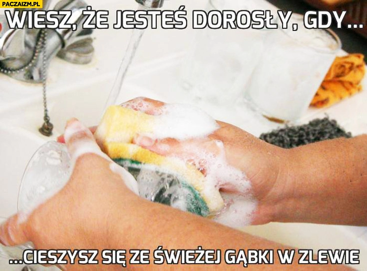 
    Wiesz, że jesteś dorosły gdy cieszysz się ze świeżej gąbki w zlewie