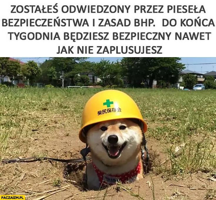 
    Zostałeś odwiedzony przez pieseła bezpieczeństwa i zasad BHP, do końca tygodnia będziesz bezpieczny nawet jak nie zaplusujesz