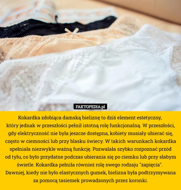 
    Kokardka zdobiąca damską bieliznę to dziś element estetyczny, który jednak