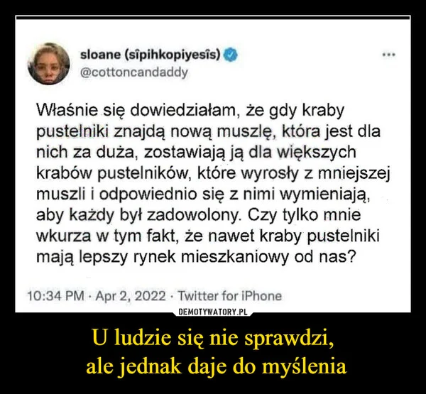 
    U ludzie się nie sprawdzi, ale jednak daje do myślenia