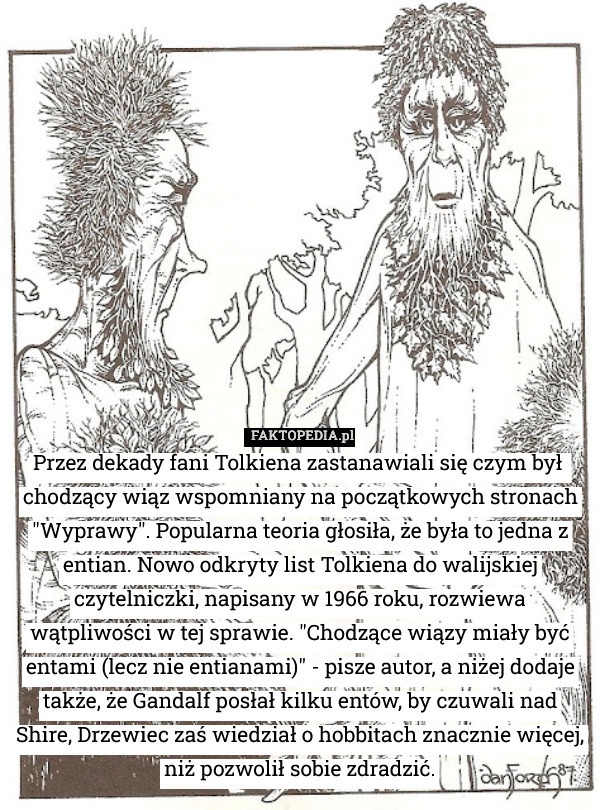 
    Przez lata fani Tolkiena zastanawiali się czym był  chodzący wiąz wspomniany
