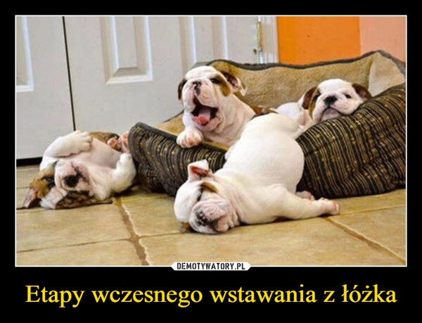 
    Etapy wczesnego wstawania z łóżka