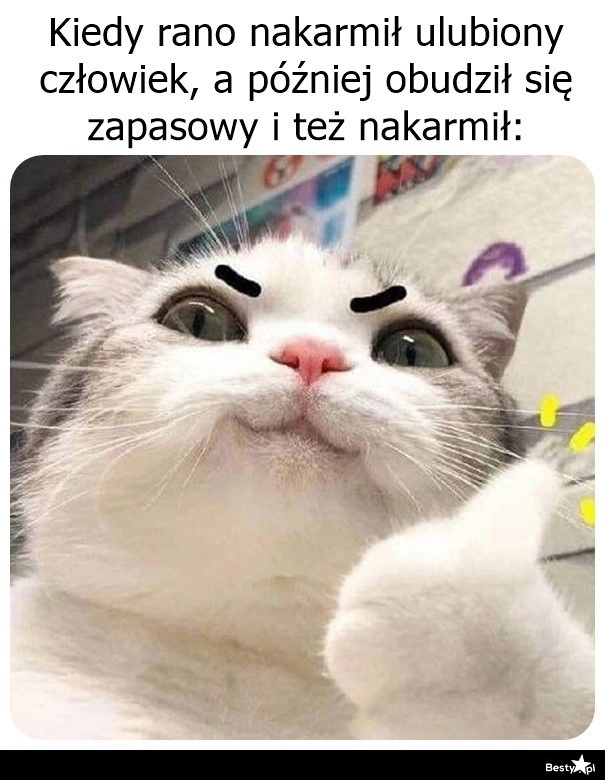 
    To jest życie! 