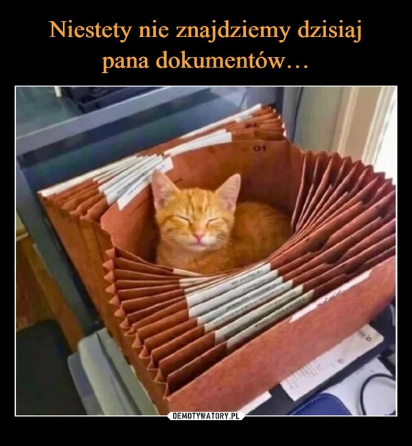 
    Niestety nie znajdziemy dzisiaj pana dokumentów…
