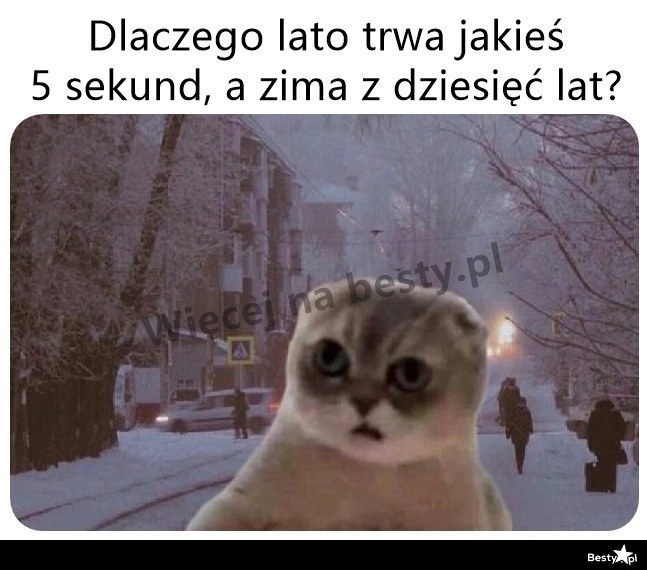 
    A tu jeszcze tyle do wiosny 