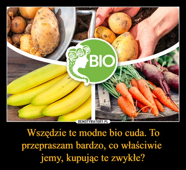 
    Wszędzie te modne bio cuda. To przepraszam bardzo, co właściwie jemy, kupując te zwykłe?