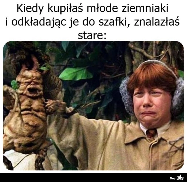 
    Stare ziemniaki 