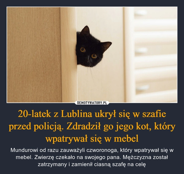 
    20-latek z Lublina ukrył się w szafie przed policją. Zdradził go jego kot, który wpatrywał się w mebel