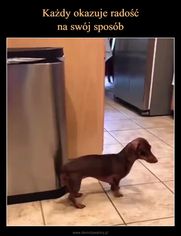 
    Każdy okazuje radość na swój sposób