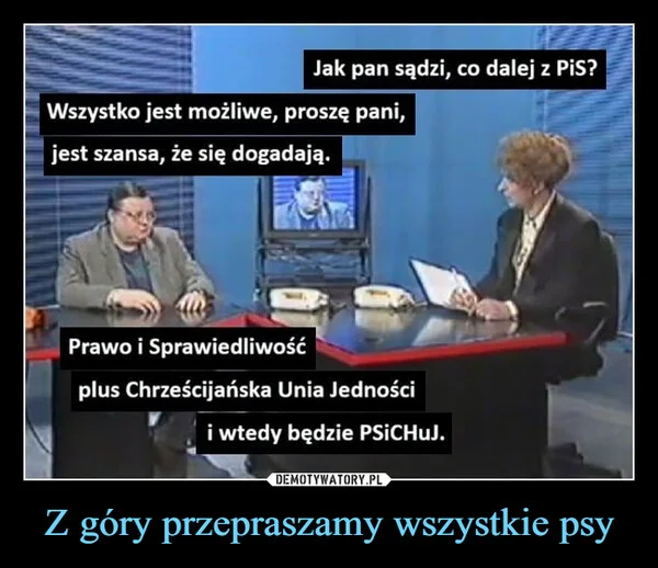 Z góry przepraszamy wszystkie psy