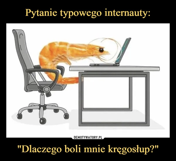 
    Pytanie typowego internauty: "Dlaczego boli mnie kręgosłup?"