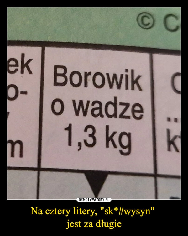 
    Na cztery litery, "sk*#wysyn" 
jest za długie