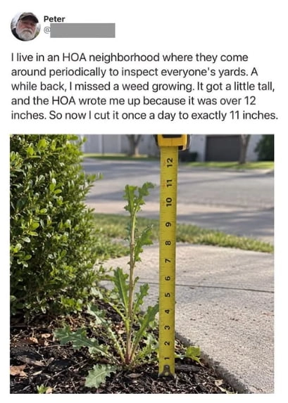 
    HOA's are made up of school hall monitors who grew up but couldn't let it go.