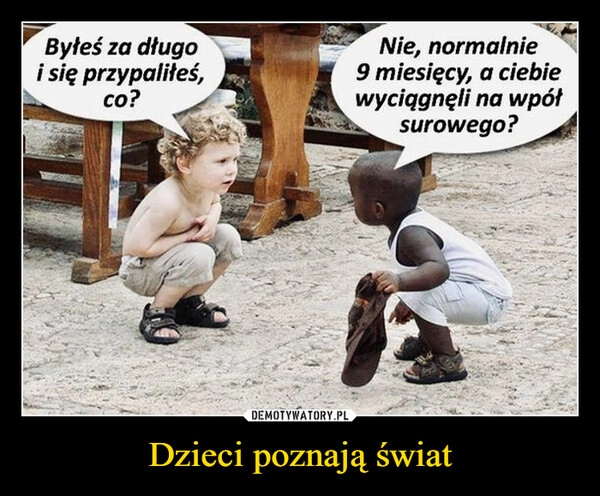 
    
Dzieci poznają świat 