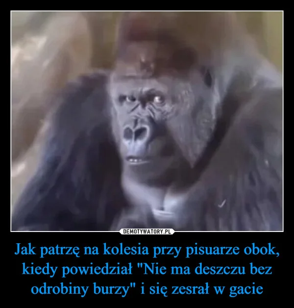 Jak patrzę na kolesia przy pisuarze obok, kiedy powiedział 