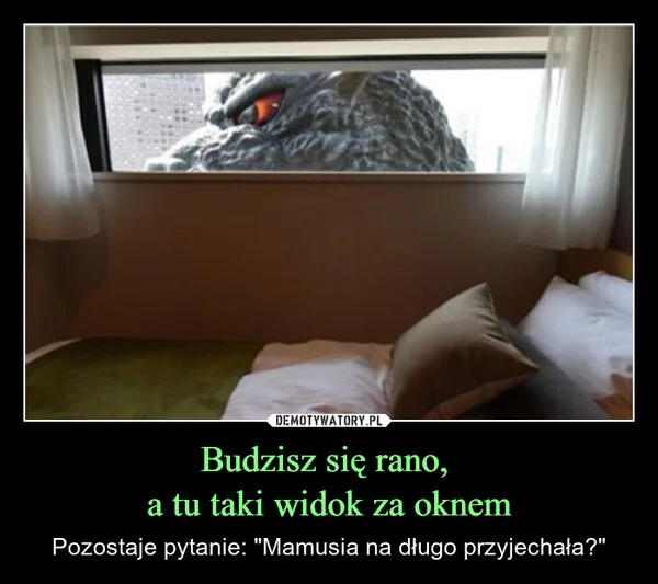 
    Budzisz się rano, a tu taki widok za oknem