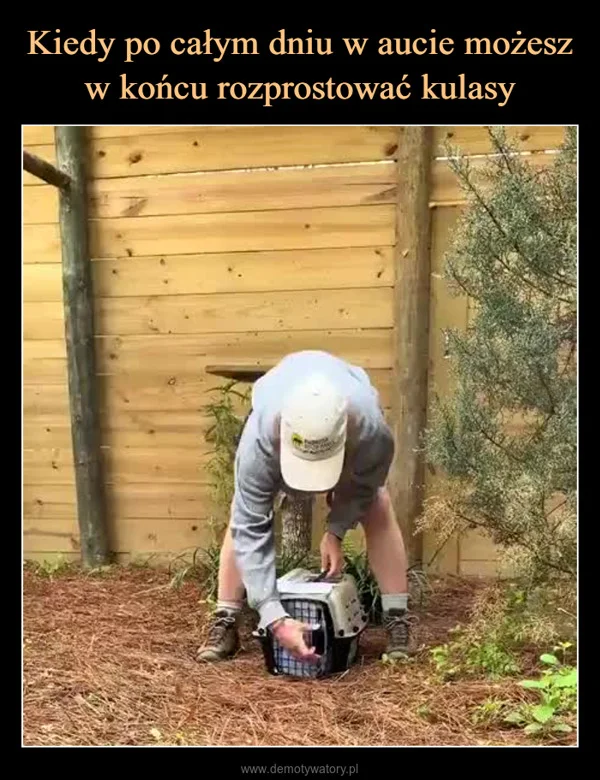 
    Kiedy po całym dniu w aucie możesz w końcu rozprostować kulasy