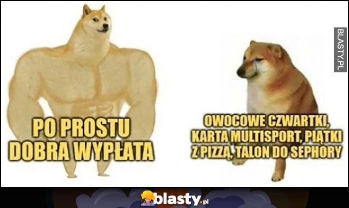 
    Owocowe czwartki, multisport, piątki z pizzą, talon do Sephory vs po prostu dobra wypłata pies pieseł doge cheems