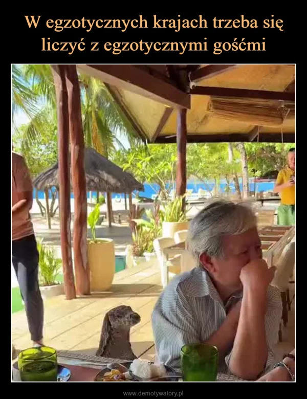 
    W egzotycznych krajach trzeba się liczyć z egzotycznymi gośćmi