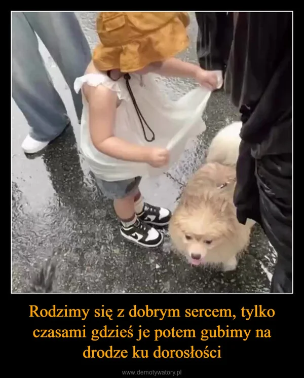 
    Rodzimy się z dobrym sercem, tylko czasami gdzieś je potem gubimy na drodze ku dorosłości