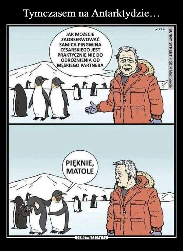 Tymczasem na Antarktydzie…