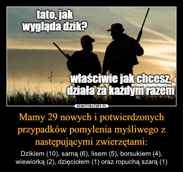 
    Mamy 29 nowych i potwierdzonych przypadków pomylenia myśliwego z następującymi zwierzętami: