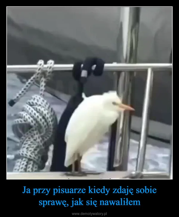 Ja przy pisuarze kiedy zdaję sobie sprawę, jak się nawaliłem