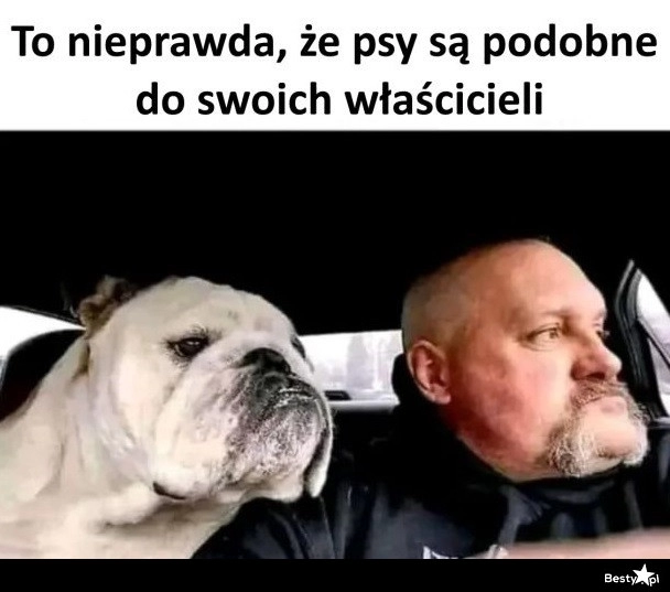 
    Właściciele i ich psy 