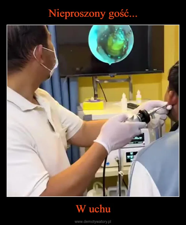 
    Nieproszony gość... W uchu