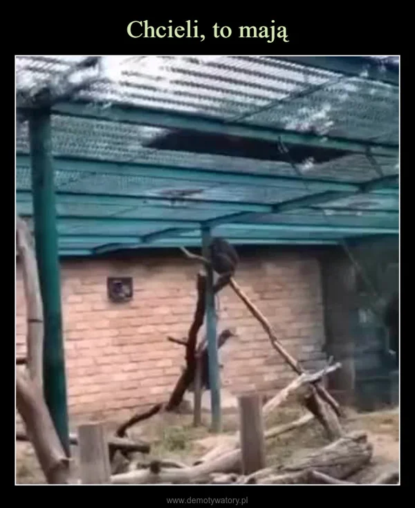 
    Chcieli, to mają
